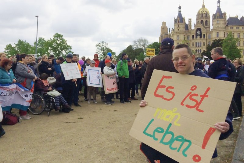 Politische Repräsentation Von Menschen Mit Behinderungen In Deutschland ...