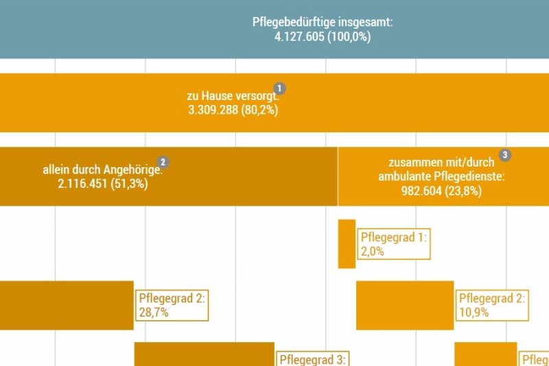 Pflegebedürftige | Die Soziale Situation In Deutschland | Bpb.de